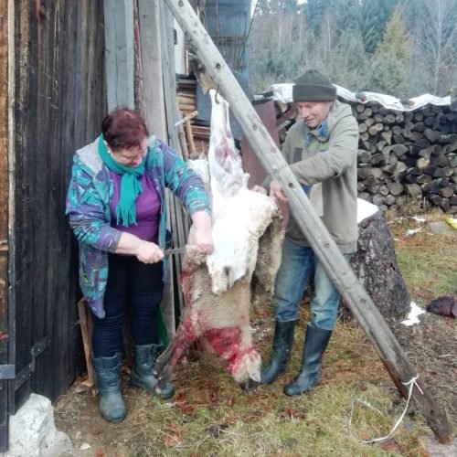 Jahňacia polievka z prednej nohy